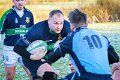 Monaghan Legends V Perennials (17)